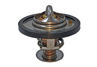 Thermostat, coolant