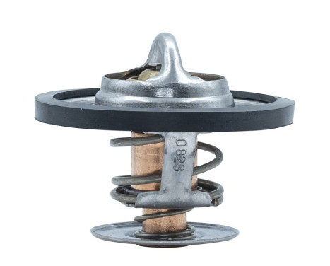 Thermostat, coolant, Image 6