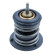 Thermostat, coolant
