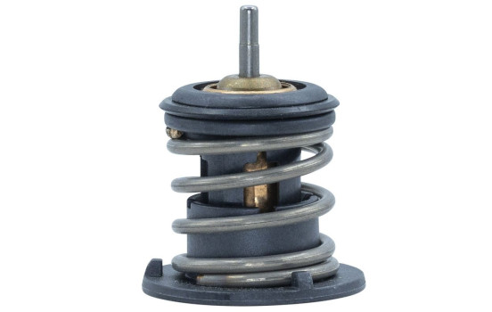 Thermostat, coolant, Image 6