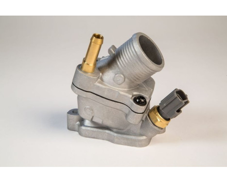 Thermostat, coolant