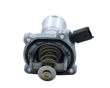 Thermostat, coolant