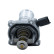Thermostat, coolant