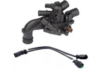 Thermostat, coolant