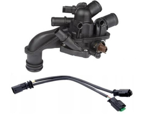 Thermostat, coolant