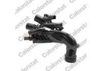 Thermostat, coolant