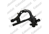 Thermostat, coolant