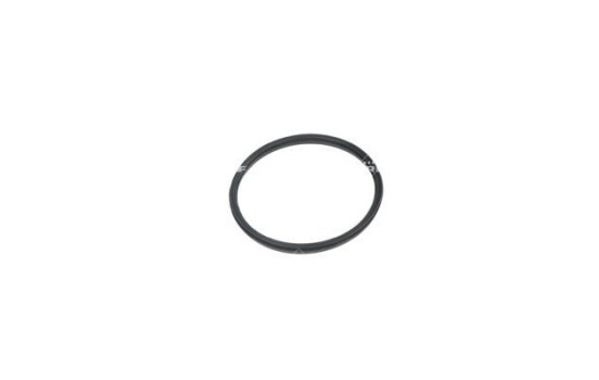 Thermostat, coolant, Image 6