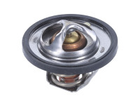 Thermostat, coolant