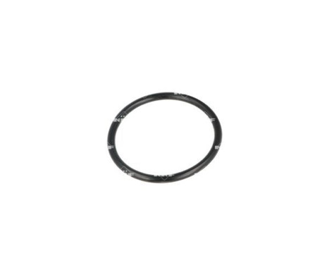 Thermostat, coolant, Image 6