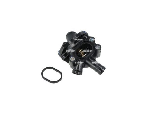 Thermostat, coolant