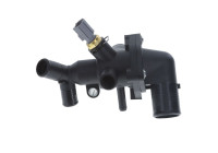 Thermostat, coolant
