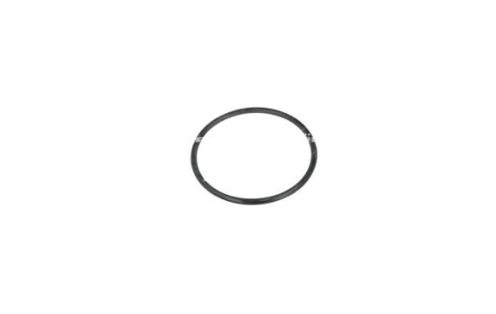 Thermostat, coolant, Image 6