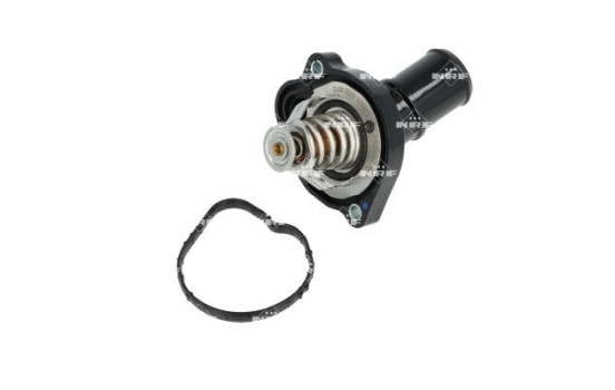 Thermostat, coolant