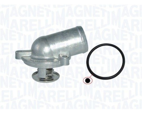 Thermostat, coolant