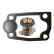Thermostat, coolant