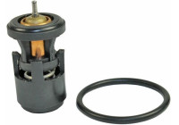 Thermostat, coolant