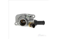 Thermostat, coolant