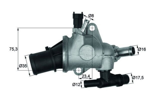 Thermostat, coolant