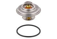 Thermostat, coolant