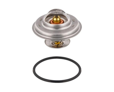 Thermostat, coolant