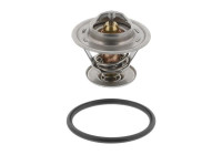 Thermostat, coolant