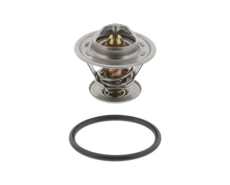 Thermostat, coolant