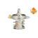 Thermostat, coolant, Thumbnail 2