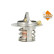 Thermostat, coolant, Thumbnail 4