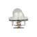 Thermostat, Thumbnail 3