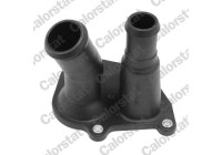 Coolant Flange
