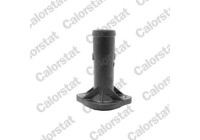 Coolant Flange