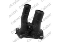 Coolant Flange