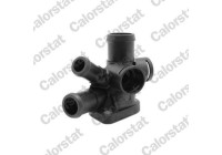 Coolant flange
