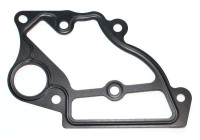 Gasket, coolant coupling