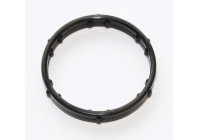 Gasket, coolant coupling