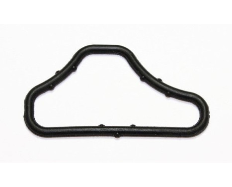 Gasket, coolant coupling