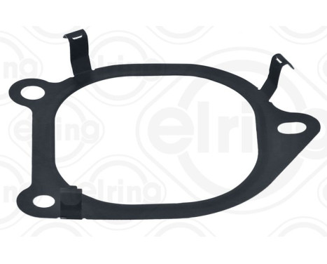 Gasket, coolant coupling