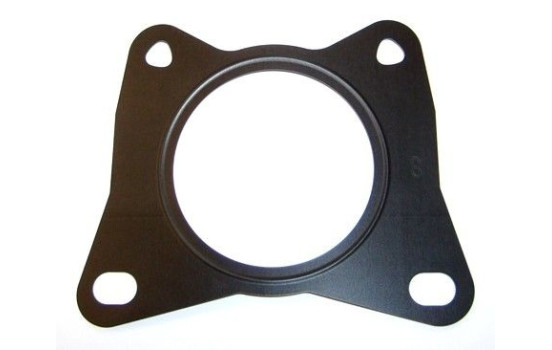 Gasket, coolant coupling