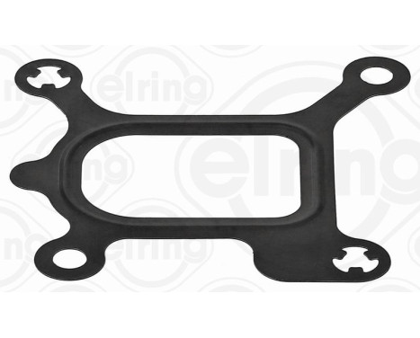 Gasket, coolant coupling