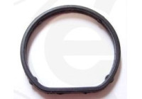 Gasket, coolant coupling