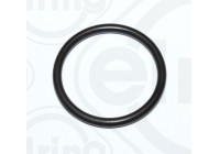 Gasket, coolant coupling