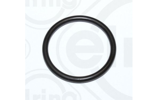 Gasket, coolant coupling