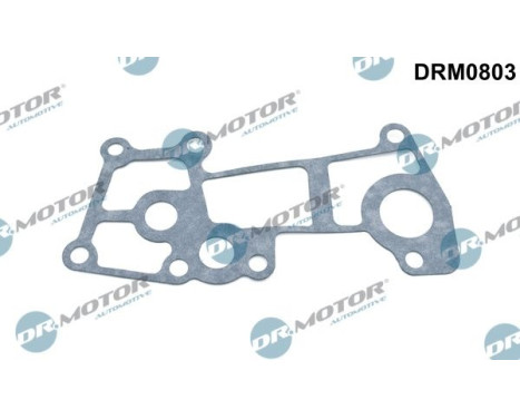 Gasket, coolant coupling