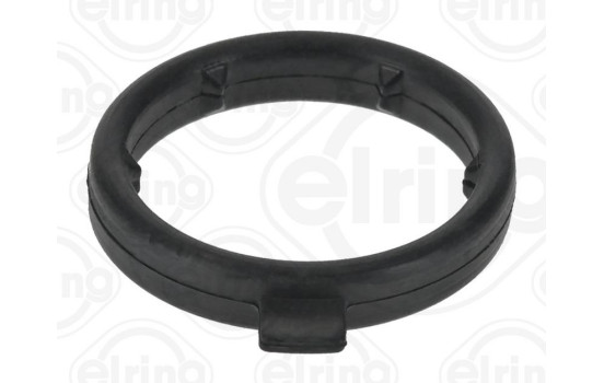 Gasket, coolant coupling