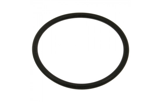 Gasket, coolant flange 18774 FEBI