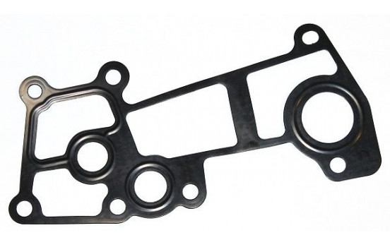 Gasket, coolant flange