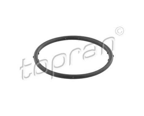 Gasket, coolant flange