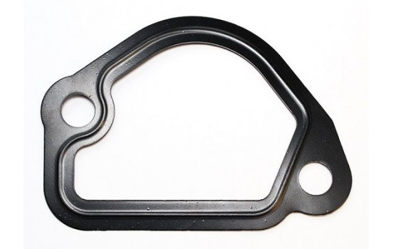 Gasket, coolant flange