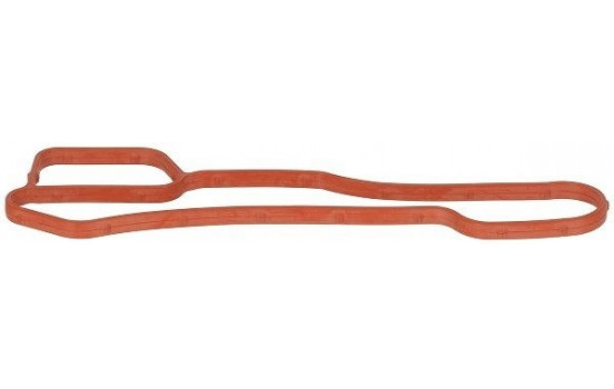 Gasket, coolant flange